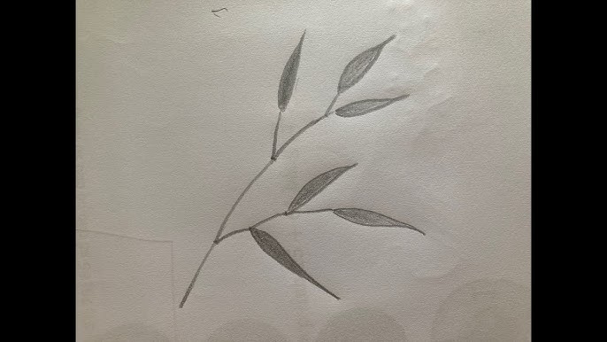Cách Vẽ Lá Tre Gallery 1