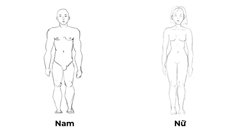 Vẽ người gầy Gallery 1