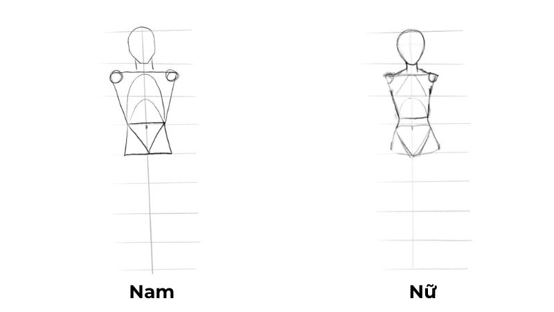 Học Cách Vẽ Người Gallery 2