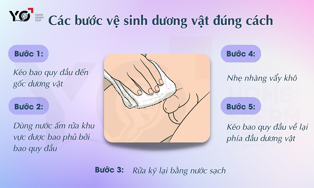 Cách Vệ Sinh Dương Vật Đúng Cách Gallery 1