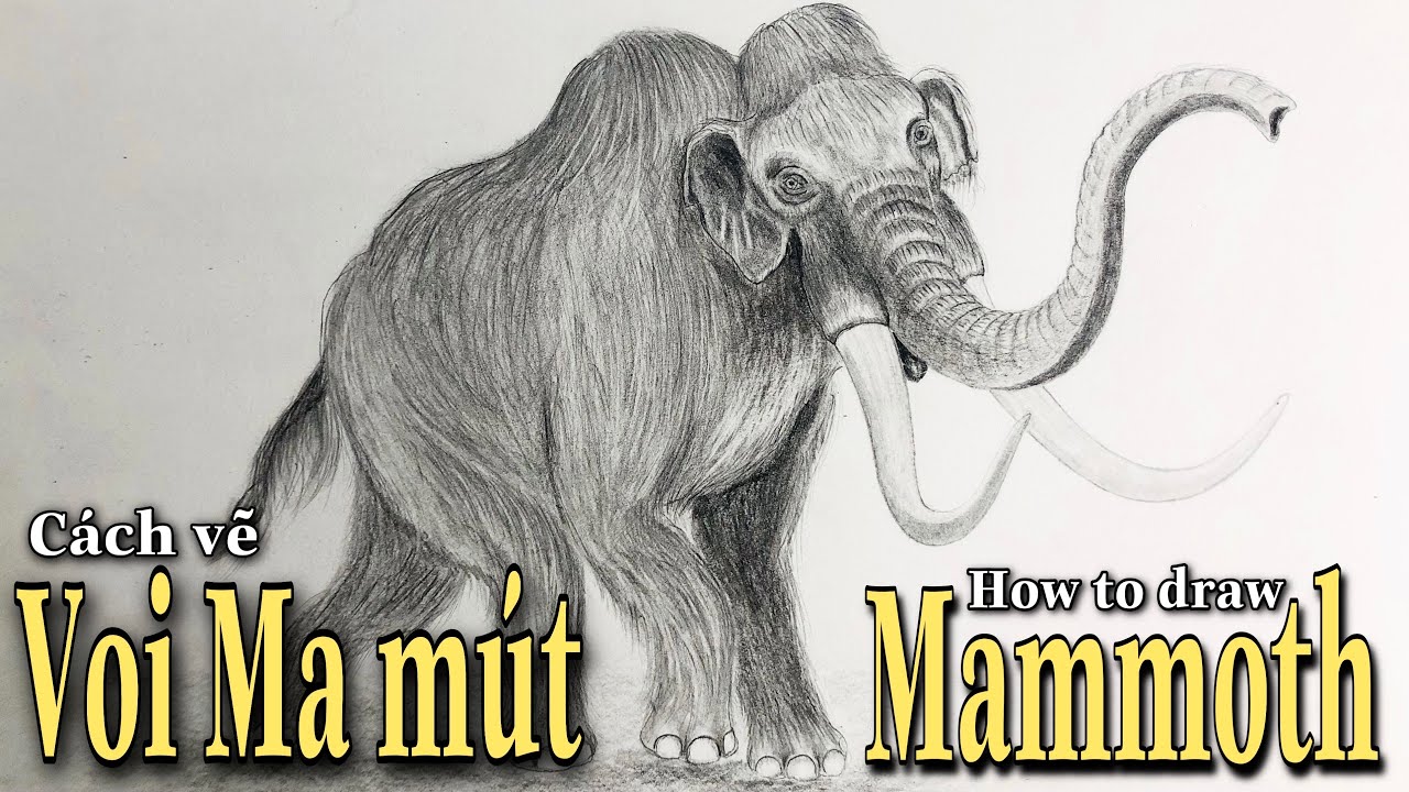 Vẽ Voi Ma Mút Gallery 1