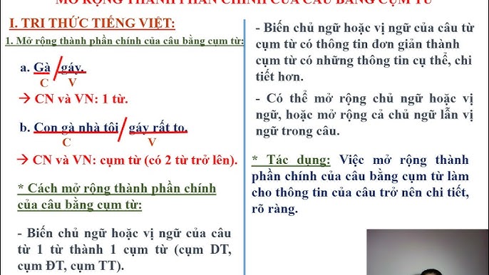 Mở rộng chủ ngữ là gì và cách mở rộng chủ ngữ hiệu quả Gallery 1