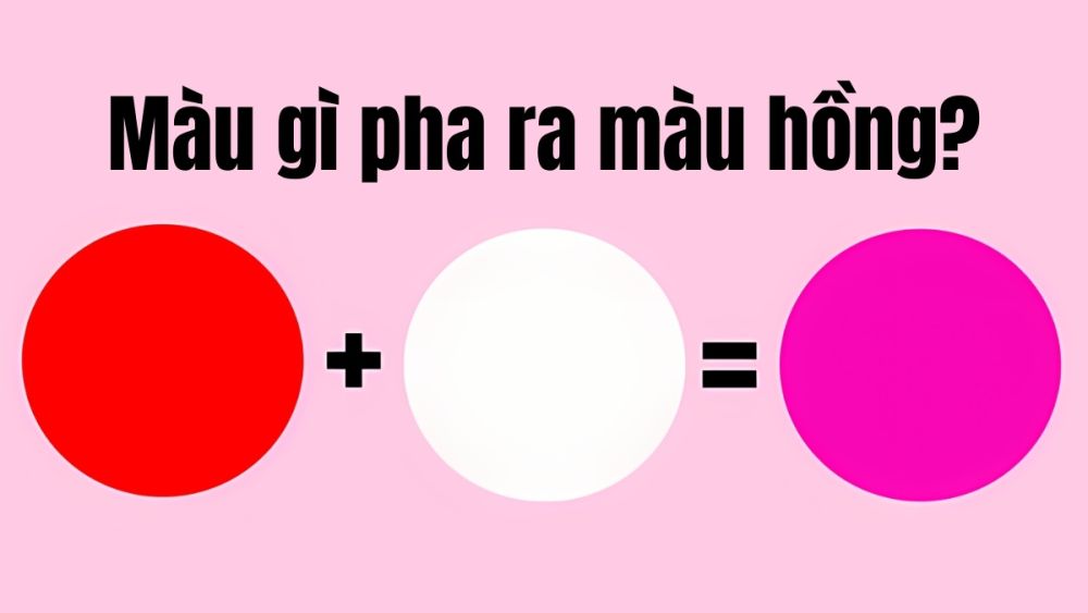 Màu gì với màu gì ra màu hồng? Gallery 1