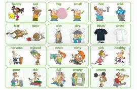 Cặp Tính Từ Trái Nghĩa Trong Tiếng Việt: Khám Phá Sự Đối Lập Hấp Dẫn Gallery 1