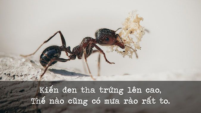 Những câu ca dao tục ngữ hay về thời tiết Gallery 1