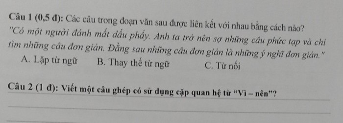 Các câu trong đoạn văn được liên kết với nhau bằng cách nào Gallery 2