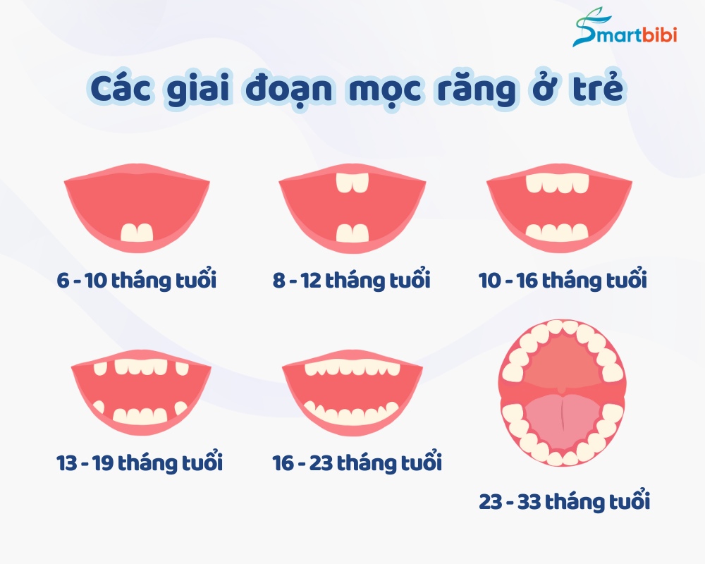 Trẻ chậm mọc răng thiếu chất gì? Gallery 1