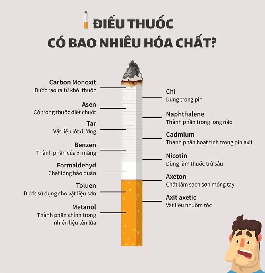 Trong thuốc lá có chất gây nghiện gì? Gallery 2