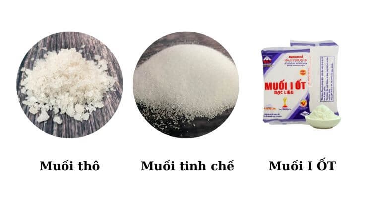 Trong muối có chất gì? Gallery 2
