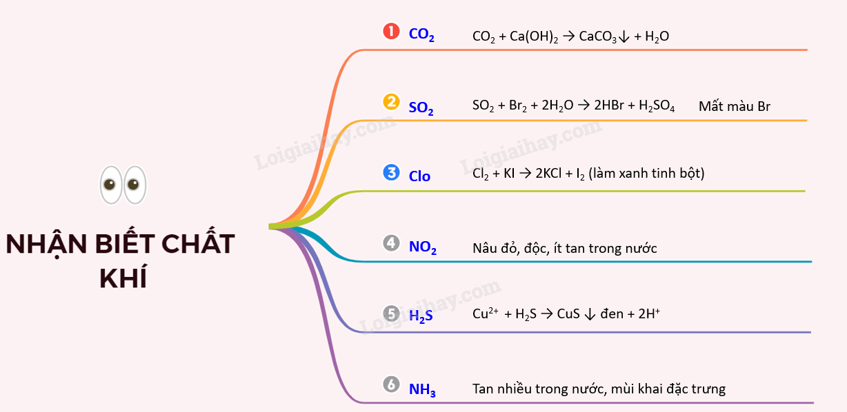 Các Chất Khí Trong Hóa Học
