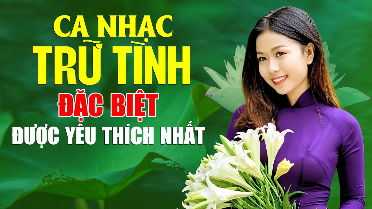 Ca nhạc trữ tình chọn lọc hay nhất Gallery 2