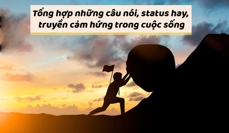 Những Câu Status Hay: Thu Thập Tuyệt Chiêu "Chinh Phục" Trái Tim Người Đọc Gallery 1
