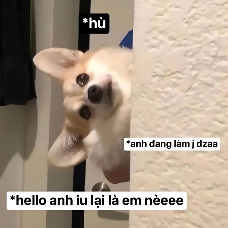 Meme Nhắn Tin Với Người Yêu: Tổng Hợp Những Tràng Cười Ngất Ngây Gallery 1