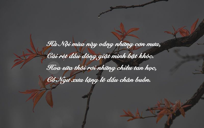 Thơ về Nội: Tình Yêu Vô Bờ Bến Của Người Bà Gallery 2