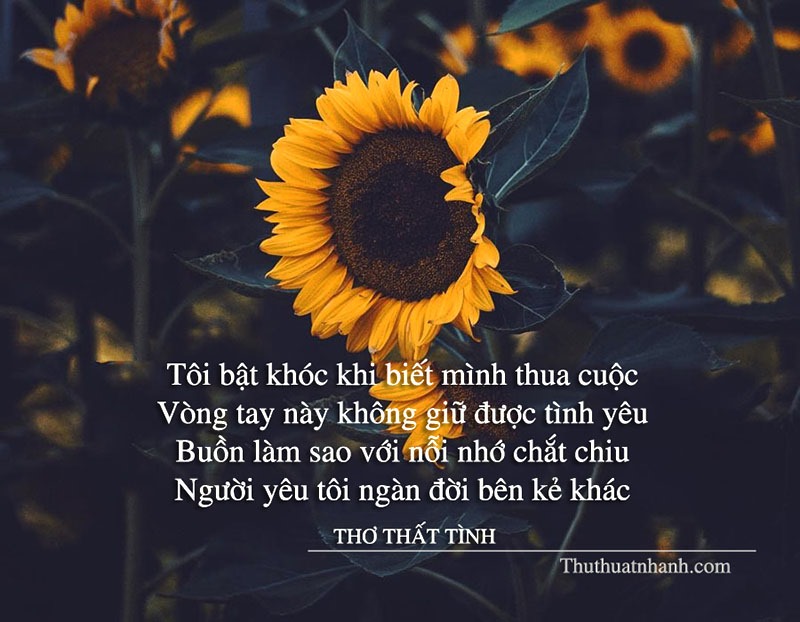 Thơ Thất Tình: Những Tâm Tình Da Diết Về Mối Tình Đã Qua Gallery 2