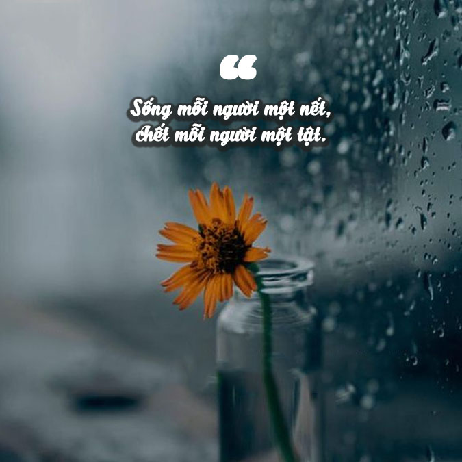 Tục Ngữ Hay Về Bản Chất Con Người Gallery 1