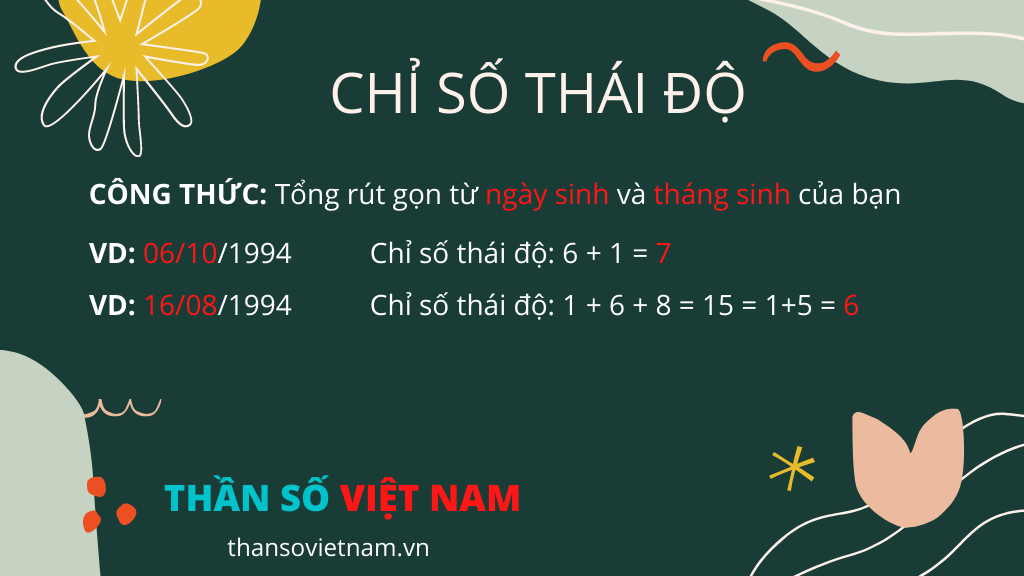 Số Thái Độ 5 Là Gì? Gallery 1