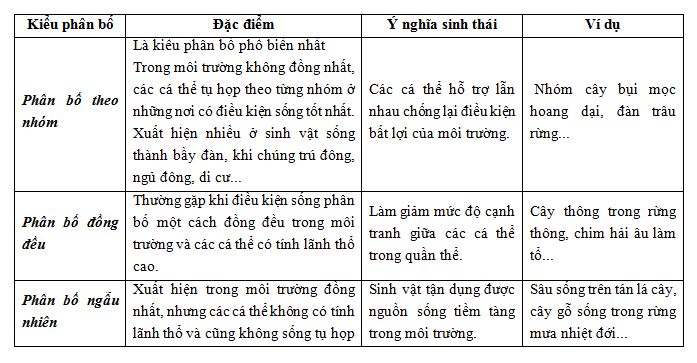 Vật thể là gì? Gallery 2