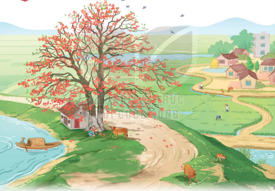 Giải Bài Cây Gạo Lớp 2 Gallery 2
