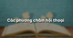 Soạn Văn 9 Hoc247: Tổng hợp kiến thức và bài tập Gallery 2