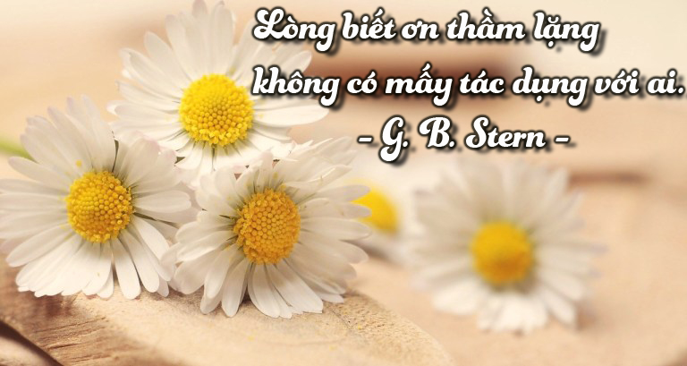 Dẫn Chứng Về Lời Cảm Ơn: Những Ví Dụ Tuyệt Vời Trong Cuộc Sống Gallery 1