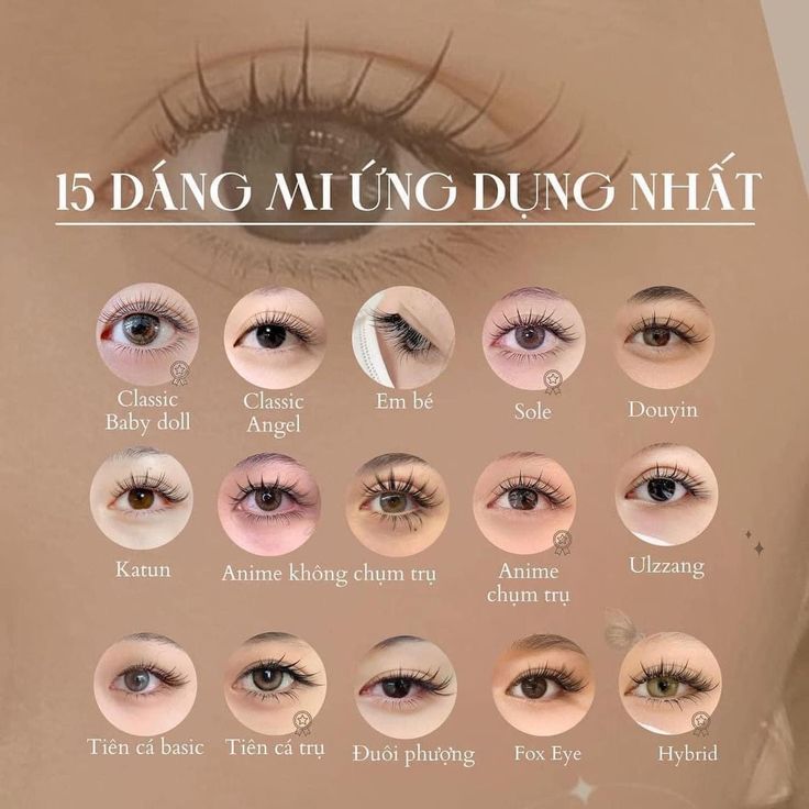 Các Dáng Mi Nối Phổ Biến Hiện Nay: Hướng Dẫn Chọn Dáng Phù Hợp