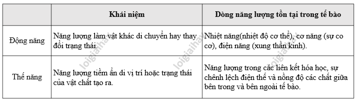 Cơ năng có mấy dạng? Gallery 2