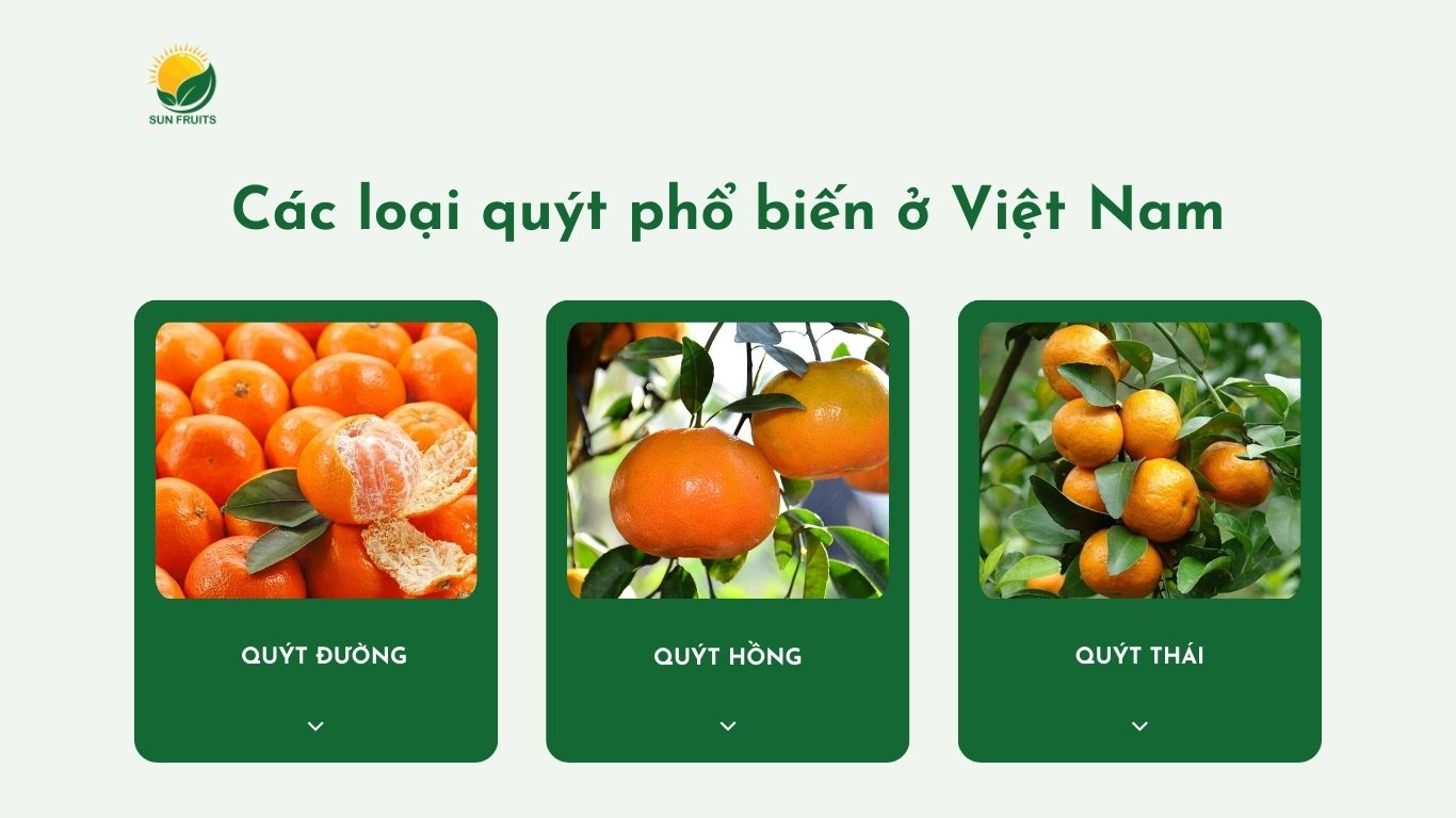 Quỵt là gì? Gallery 1