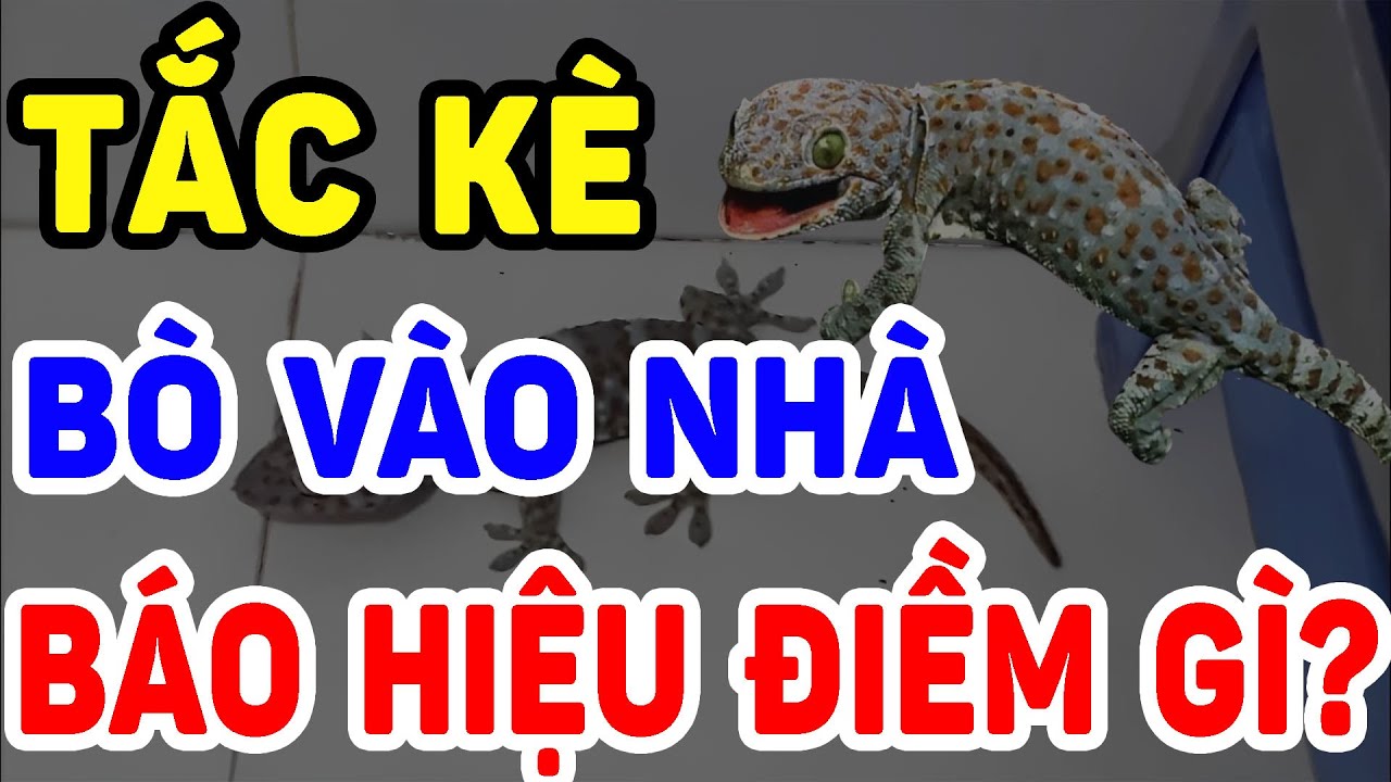 Tặc Kế Vào Nhà Ở Có Điểm Gì? Gallery 1