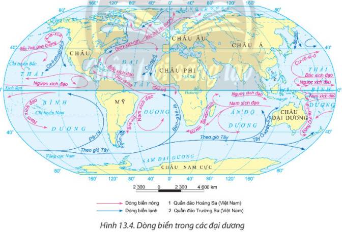 Các dòng biển nóng thường có hướng chảy từ đâu? Gallery 2