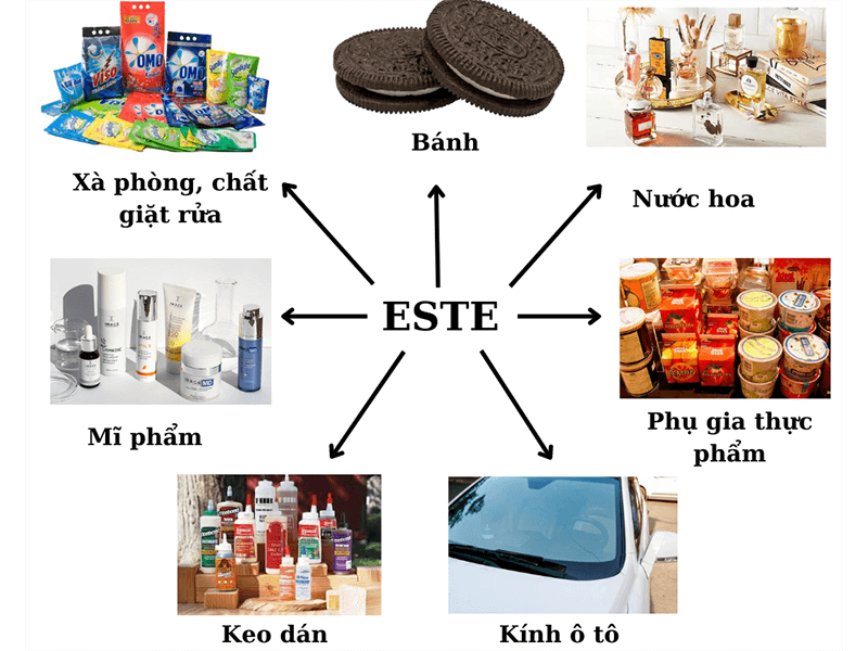 Tên các este thường gặp Gallery 1
