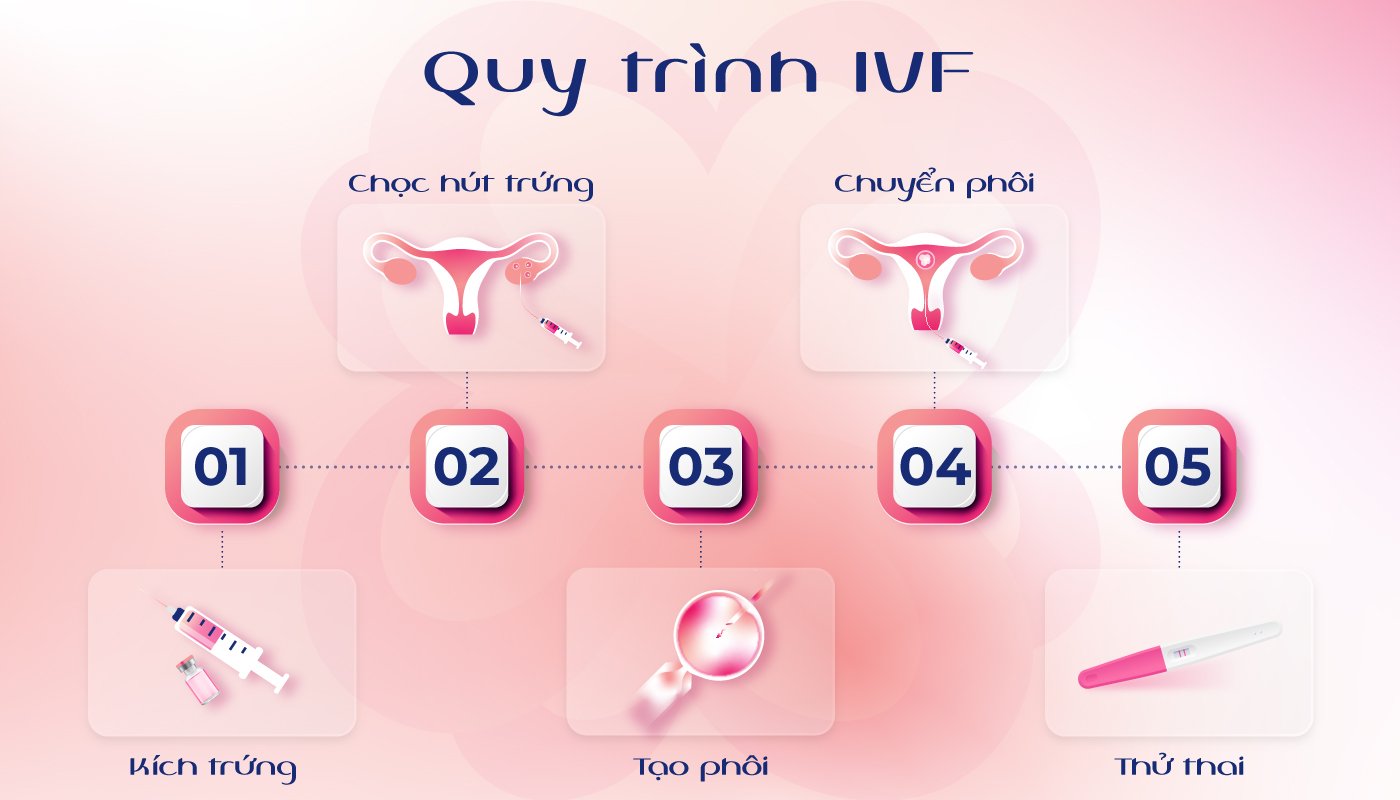 Quá Trình Thụ Tinh Ống Nghiệm (IVF) Gallery 1