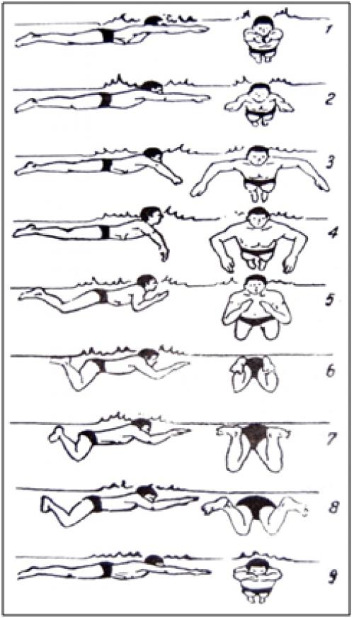 Lý Thuyết Bơi Ếch Gallery 1