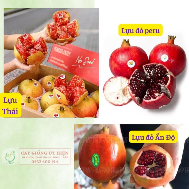 Nên Trồng Giống Lựu Nào? Gallery 1