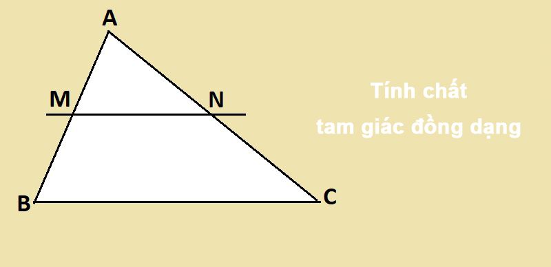 Từ 2 tam giác đồng dạng suy ra được gì? Gallery 1