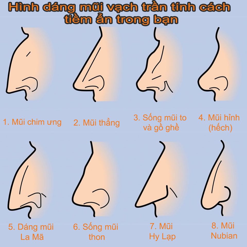 Các Hình Dáng Mũi Thường Gặp Và Đặc Điểm Của Chúng Gallery 2