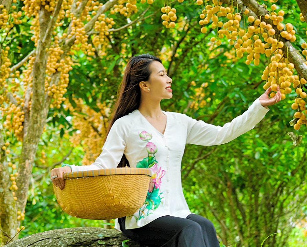 Sum Sê Là Gì? Khám Phá Thế Giới Sum Sê Gallery 1
