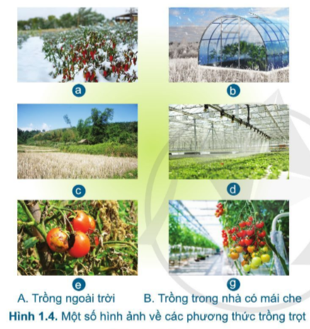 Trông Con: Giải Pháp Toàn Diện Cho Cha Mẹ Bận Rộn Gallery 1