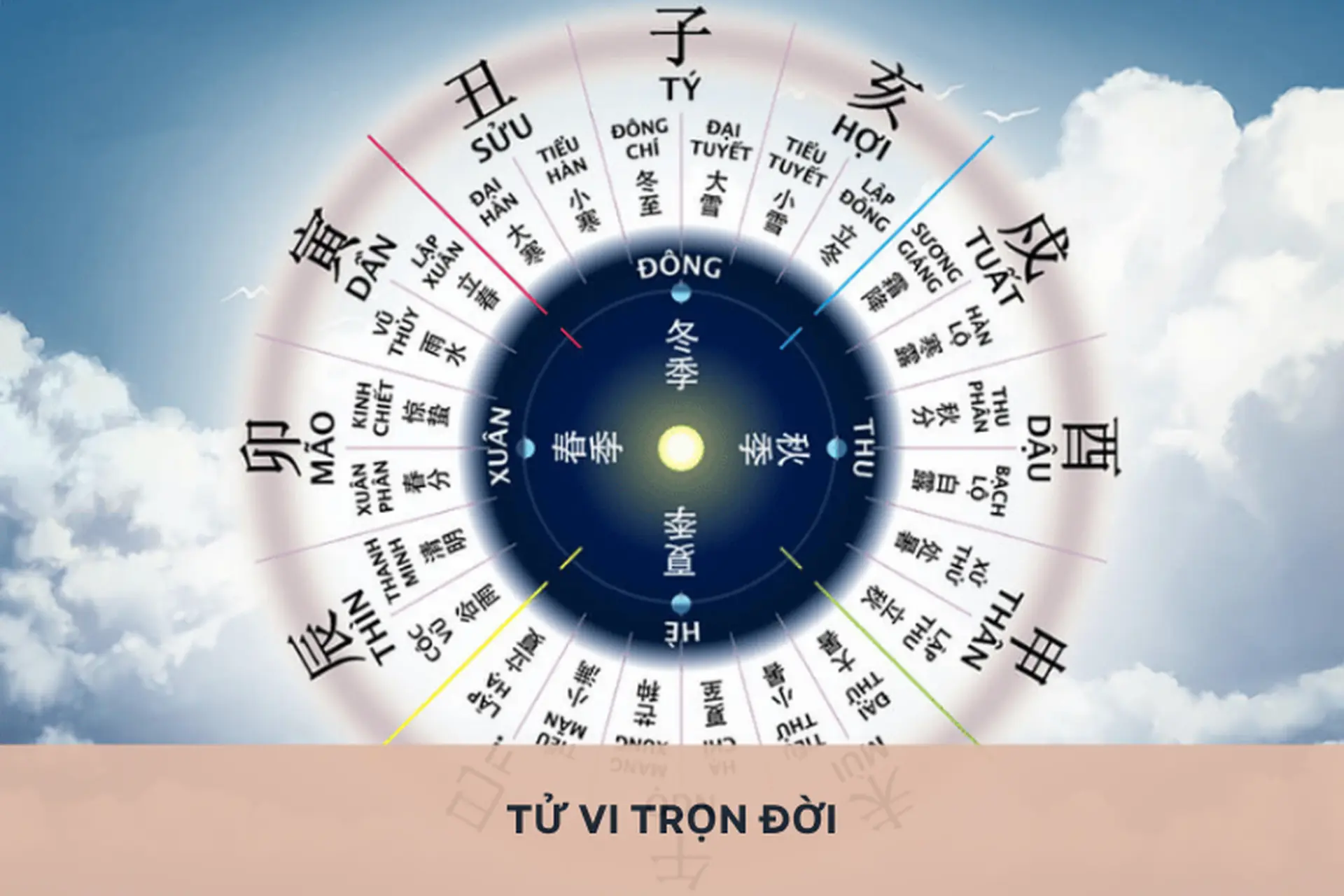 Tư Vấn Trọn Đời: Đồng Hành Cùng Bạn Trên Mọi Chặng Đường Gallery 2