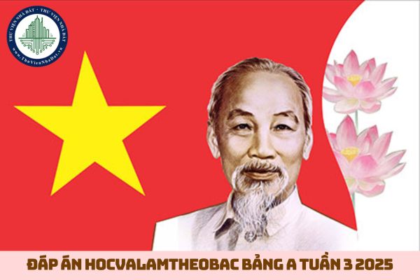 Đáp án học và làm theo lời Bác tuần 3 Gallery 1