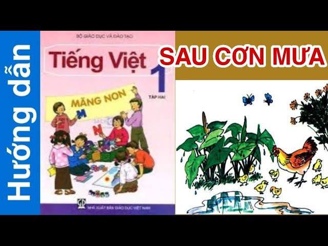 Sau Cơn Mưa Lớp 1 Gallery 2