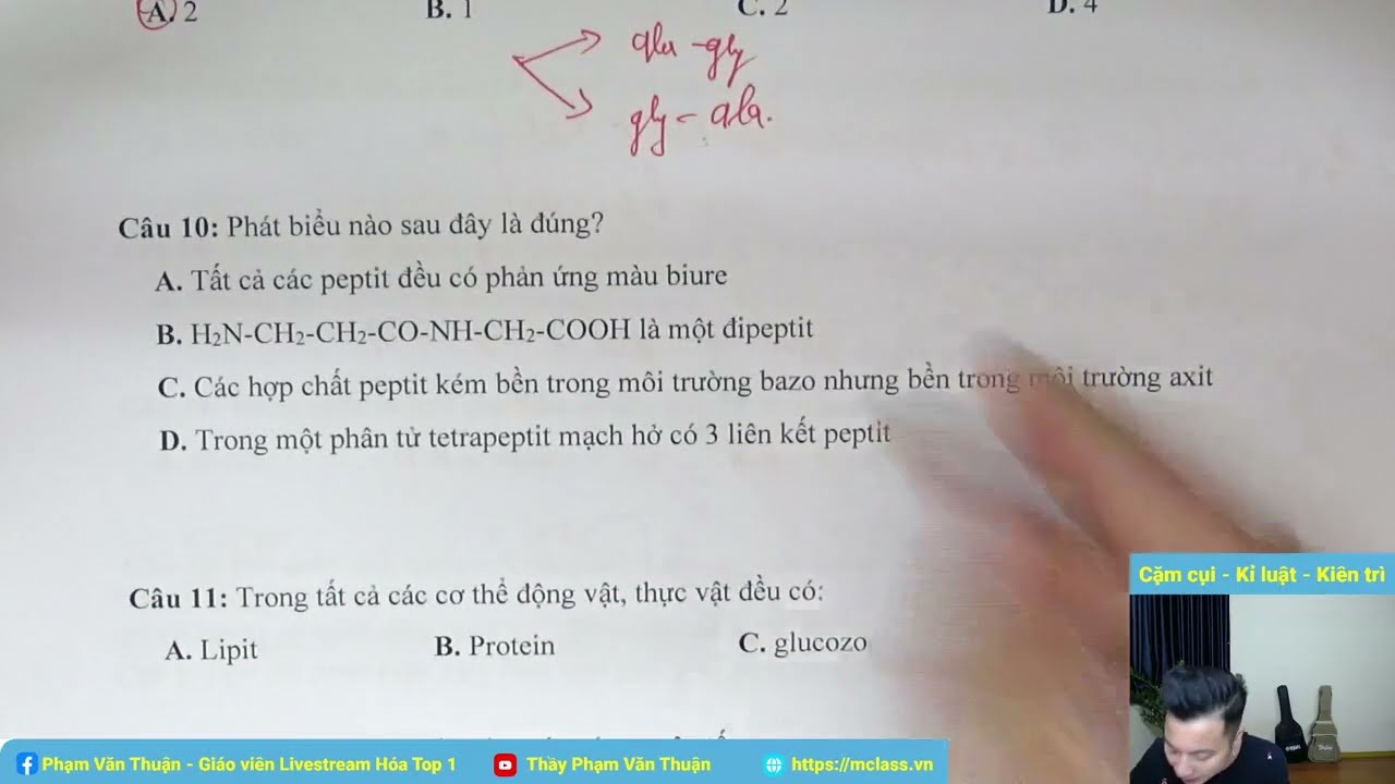 Hợp chất peptit kém bền trong môi trường bazơ nhưng bền trong môi trường axit Gallery 2