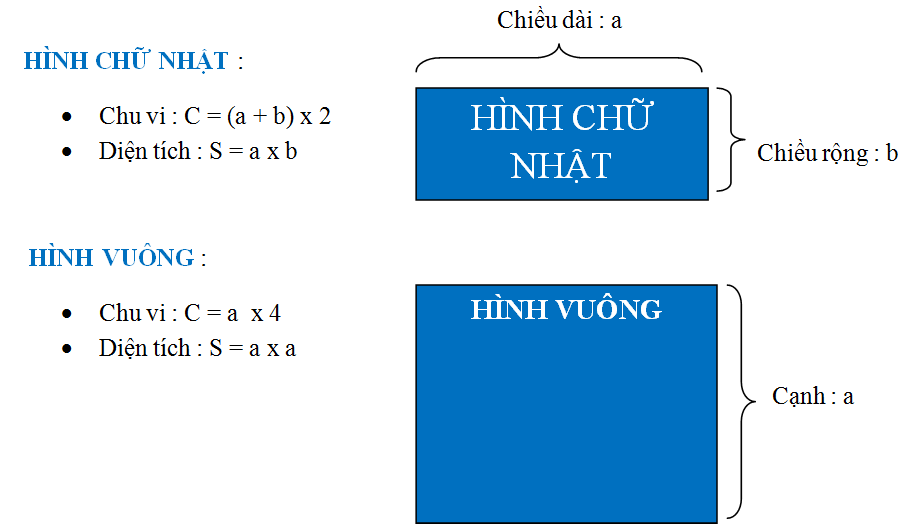 Chiều dài hình vuông là bao nhiêu? Gallery 1