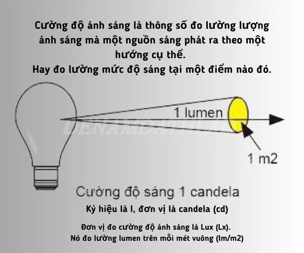 Đơn Vị Đo Cường Độ Ánh Sáng Là Gì? Gallery 1