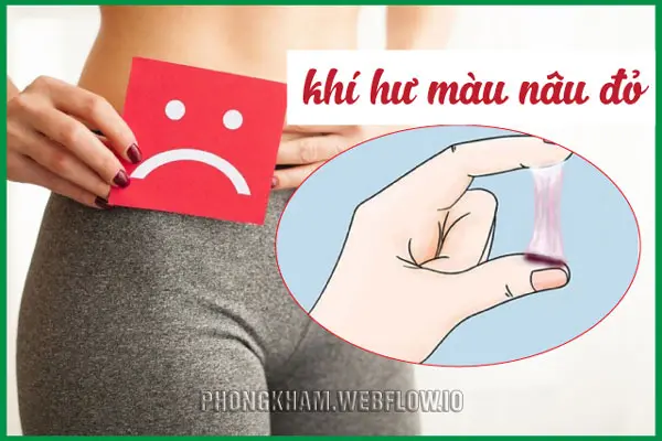Khí màu nâu đỏ là khí gì? Gallery 1