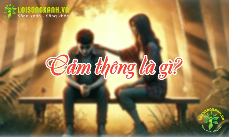 Cảm thông là gì? Gallery 1