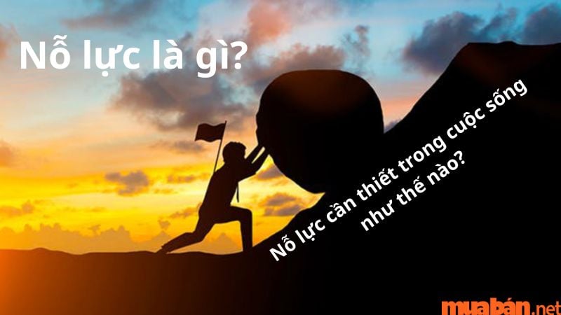 Cố Gắng Nỗ Lực Là Gì? Gallery 1