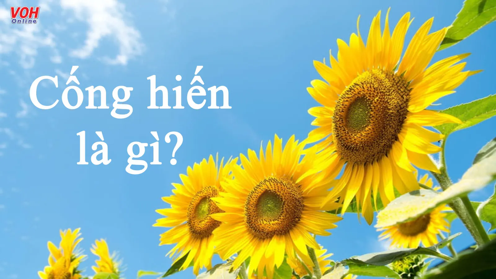 Cống hiến là gì? Gallery 1