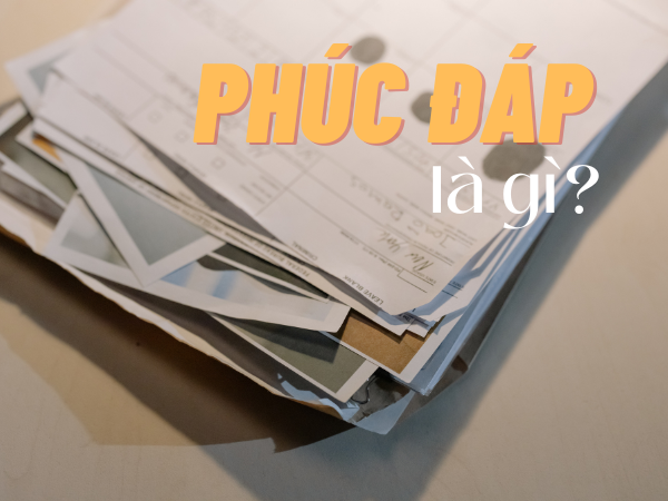 Phúc đáp là gì? Gallery 1