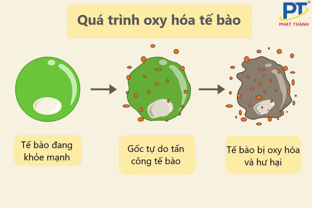 Sự oxi hóa là quá trình gì? Gallery 1